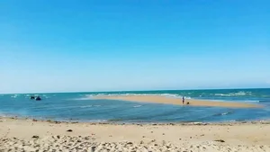Top 9 Hidden and Beautiful Beaches in Vung Tau You Need to Visit - image 1