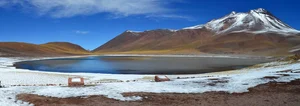 Incredible Natural Phenomenon in the World's Driest Desert - image 0