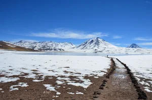 Incredible Natural Phenomenon in the World's Driest Desert - image 2