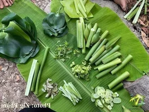 Nostalgic Childhood Snacks: Timeless Flavors That Money Can Hardly Buy Today - image 2