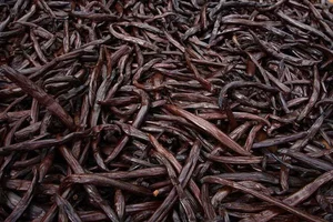 Vietnam Successfully Cultivates Luxury Spice Worth Up to 20 Million VND Per Kilogram - image 4