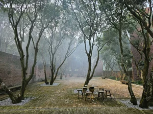 Exploring the Sacred Beauty of Xuan Hinh’s Mother Goddess Museum During Tet - image 8