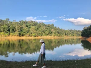 Exploring Dien Bien: A Journey Through Historic Landmarks and Breathtaking Landscapes in Vietnam - image 5