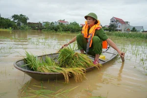 Historical Flooding in Thai Nguyen: Scenes from the Worst Flood in 23 Years - image 6