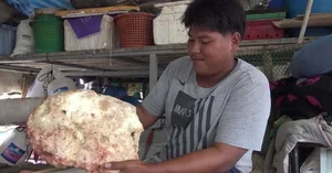 From Rags to Riches: Fisherman Discovers Rare Ambergris Treasure Worth a Fortune in a Life-Changing Find - image 2