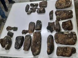 From Rags to Riches: Fisherman Discovers Rare Ambergris Treasure Worth a Fortune in a Life-Changing Find - image 1