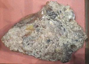 From Rags to Riches: Fisherman Discovers Rare Ambergris Treasure Worth a Fortune in a Life-Changing Find - image 6