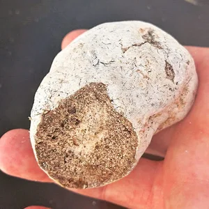From Rags to Riches: Fisherman Discovers Rare Ambergris Treasure Worth a Fortune in a Life-Changing Find - image 3