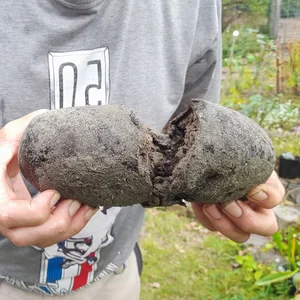 From Rags to Riches: Fisherman Discovers Rare Ambergris Treasure Worth a Fortune in a Life-Changing Find - image 0