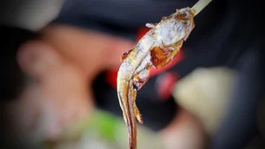 Savoring Vietnam’s Bitter Stream Fish: A Rare and Exotic Culinary Delicacy Explored - image 7