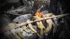 Savoring Vietnam’s Bitter Stream Fish: A Rare and Exotic Culinary Delicacy Explored - image 4
