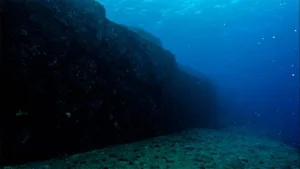 Mysterious Underwater Structures: Ancient Civilizations or Extraterrestrial Origins? - image 9