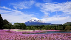 Mount Fuji Snowless in October: A Rare Climate Phenomenon - image 7