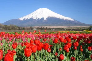 Mount Fuji Snowless in October: A Rare Climate Phenomenon - image 4