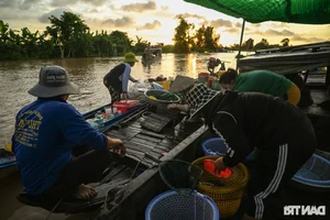 Night Hunting for Delicacies in the Mekong Delta Floating Season - image 3