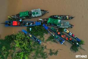 Night Hunting for Delicacies in the Mekong Delta Floating Season - image 7
