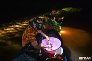Night Hunting for Delicacies in the Mekong Delta Floating Season - image 2