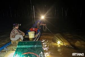 Night Hunting for Delicacies in the Mekong Delta Floating Season - image 6