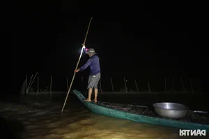 Night Hunting for Delicacies in the Mekong Delta Floating Season - image 10