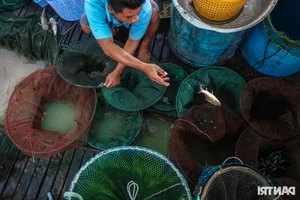 Night Hunting for Delicacies in the Mekong Delta Floating Season - image 15