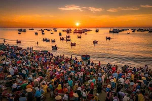 Sunrise at Tam Tien Fish Market: A Vibrant Coastal Tradition in Quang Nam - image 5