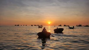 Sunrise at Tam Tien Fish Market: A Vibrant Coastal Tradition in Quang Nam - image 7