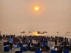 Sunrise at Tam Tien Fish Market: A Vibrant Coastal Tradition in Quang Nam - image 9