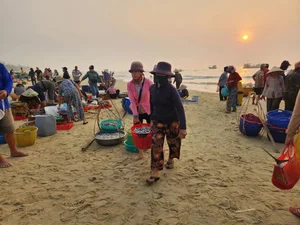 Sunrise at Tam Tien Fish Market: A Vibrant Coastal Tradition in Quang Nam - image 12