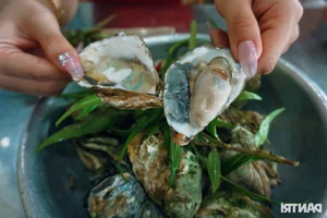 Discovering Phuoc Hai Fishing Village: The Famous 35k Oyster Street Today - image 6