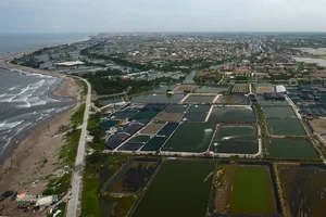 Breathtaking Views of the Ninh Co Estuary from a Military Helicopter (2026) - image 5