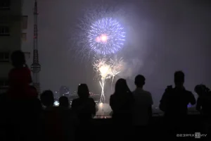 Massive Crowds Gather at Thong Nhat Park for Spectacular Fireworks Display - image 7