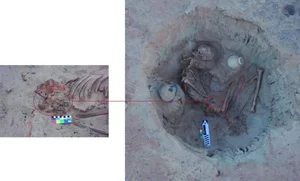Ancient Egyptian Tomb Reveals Tragic Story of Pregnant Woman 3,700 Years Later - image 3