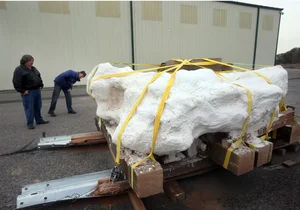 Unlocking the Giant Stone Monolith Sealing Twenty Ancient Beasts: The Shocking Truth - image 6