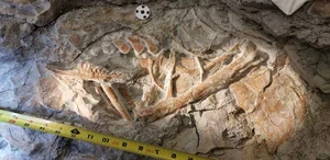 Unlocking the Giant Stone Monolith Sealing Twenty Ancient Beasts: The Shocking Truth - image 3