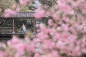 Exploring Fine Art Photography: YiTuYu Art Language Vol 9436 Featuring Sei Waka Shoka - image 28