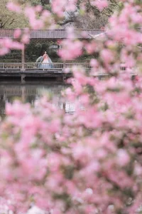 Exploring Fine Art Photography: YiTuYu Art Language Vol 9436 Featuring Sei Waka Shoka - image 11