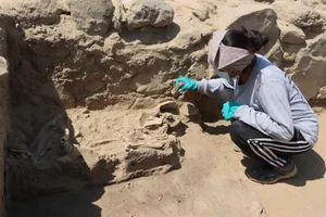 Archaeological Discovery in Peru: 3,800-Year-Old Skeletons Unveil Ancient Secrets - image 5
