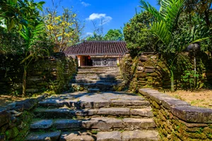 The Golden Beauty of Loc Yen Ancient Village: A Springtime Spectacle - image 3