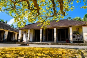 The Golden Beauty of Loc Yen Ancient Village: A Springtime Spectacle - image 5