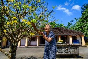 The Golden Beauty of Loc Yen Ancient Village: A Springtime Spectacle - image 1