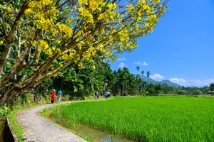 The Golden Beauty of Loc Yen Ancient Village: A Springtime Spectacle - image 4