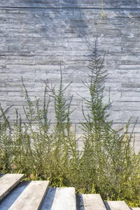 Dora Villa: Sustainable Raw Concrete Architecture Filled with Natural Light - image 18