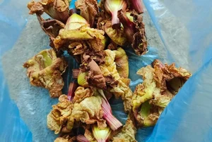 From Forgotten Orchard Waste to Urban Delicacy: The Rise of Traditional Specialty Fruits - image 8