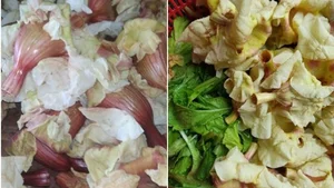 From Forgotten Orchard Waste to Urban Delicacy: The Rise of Traditional Specialty Fruits - image 0