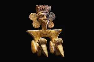 Shocking Discovery: What Experts Found Hidden Underneath an Ancient Tree Root - image 5