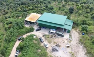 The Chilling Mystery Behind the Ornamental Fish Farm - image 3
