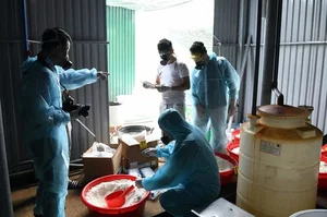 The Chilling Mystery Behind the Ornamental Fish Farm - image 1