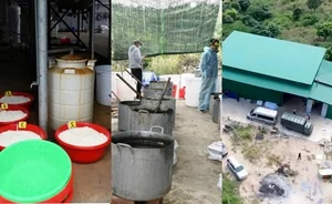 The Chilling Mystery Behind the Ornamental Fish Farm - image 4