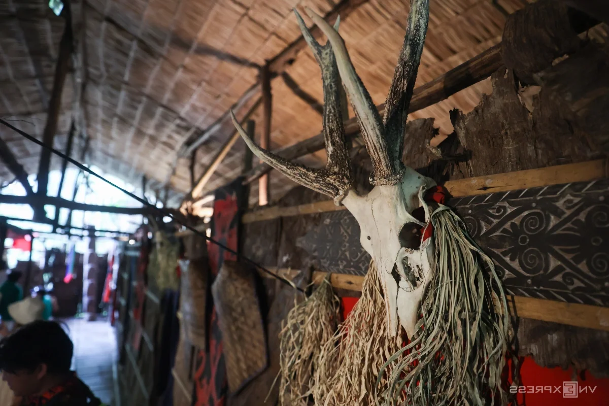 Exploring the Tribal Heritage of Borneo: A Journey into the Heart of Asia's Largest Island
