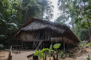 Exploring the Tribal Heritage of Borneo: A Journey into the Heart of Asia's Largest Island - image 10